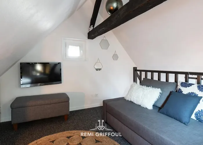 Le Phare Bleu Center & 2 To 4 Guests Apartamento *