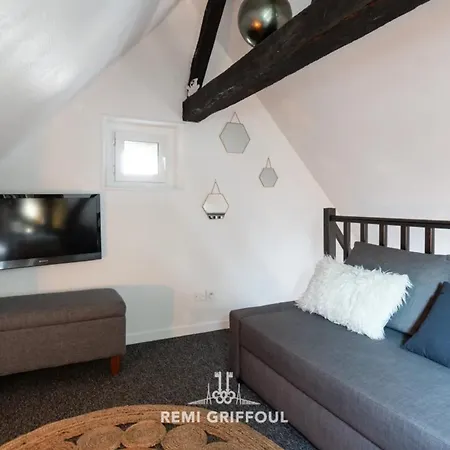 Le Phare Bleu Center & 2 To 4 Guests شقة *